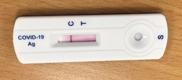 covid 19 test kit